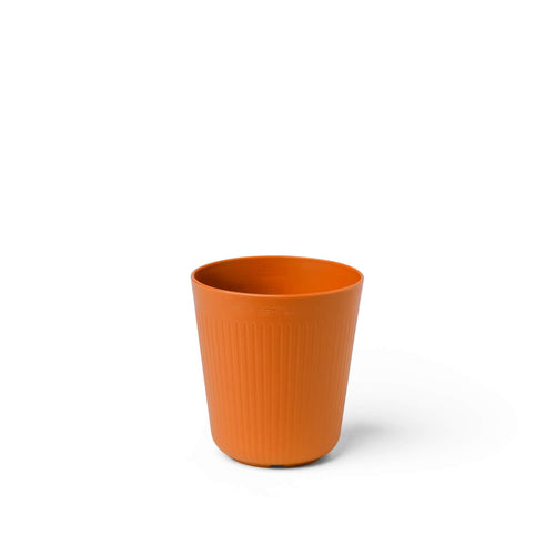 Camp Cup